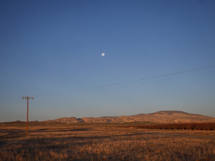 Moon over Coalinga, CA.