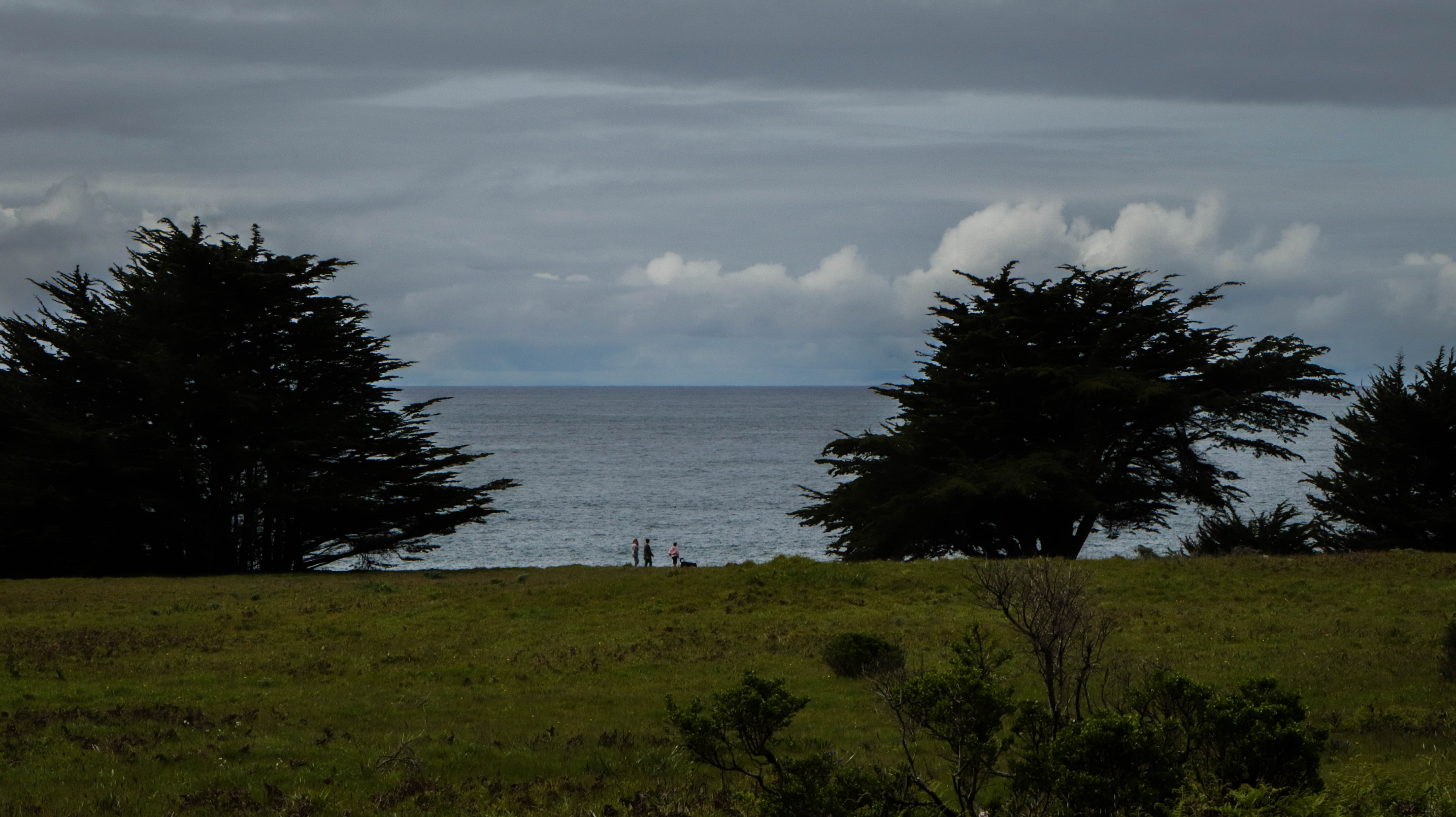 Family at a distance